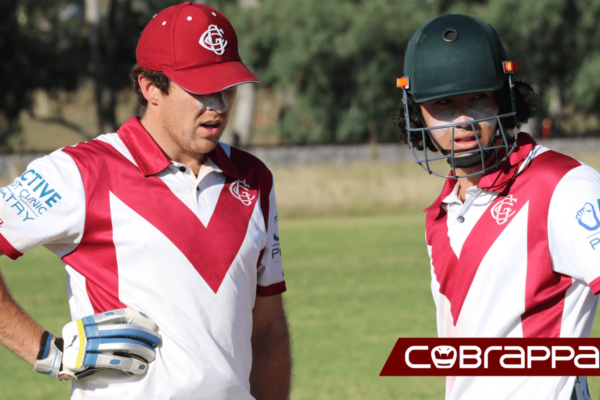 cropped-Home-page-2-1-1